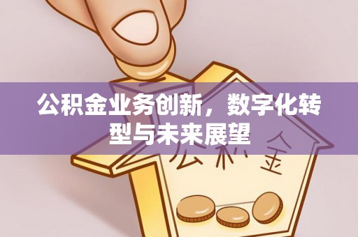 加格达奇公积金业务创新，数字化转型与未来展望